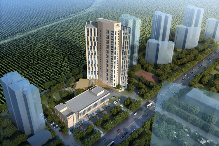 不负春光起好步，希尔顿逸林旅馆公寓项目银行主体封顶大吉